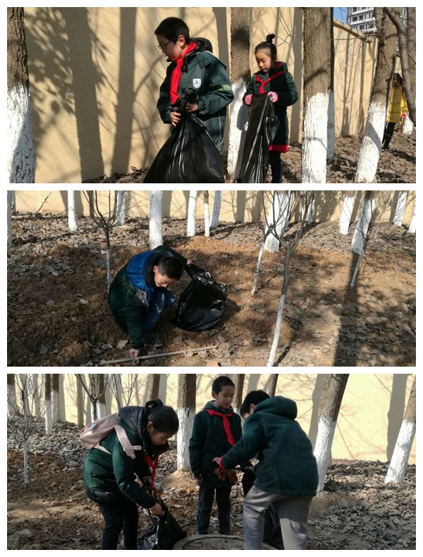 1554685266.jpg 1.jpg