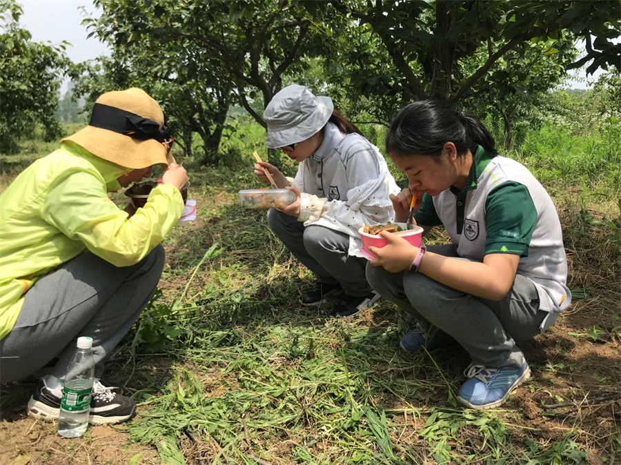 送饭到田头.jpg