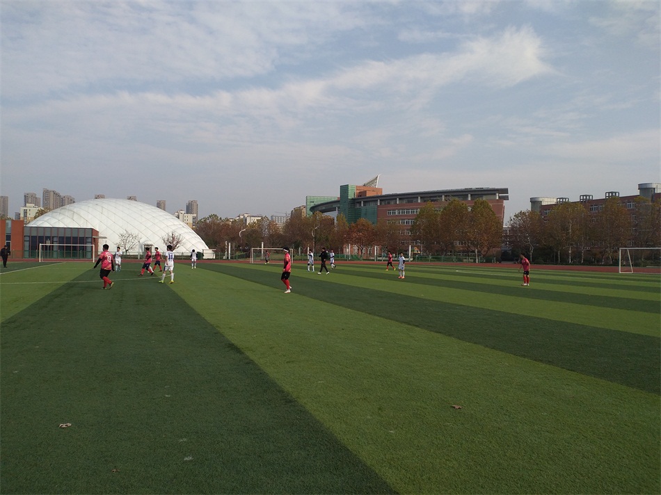 IMG_20201129_144932.jpg
