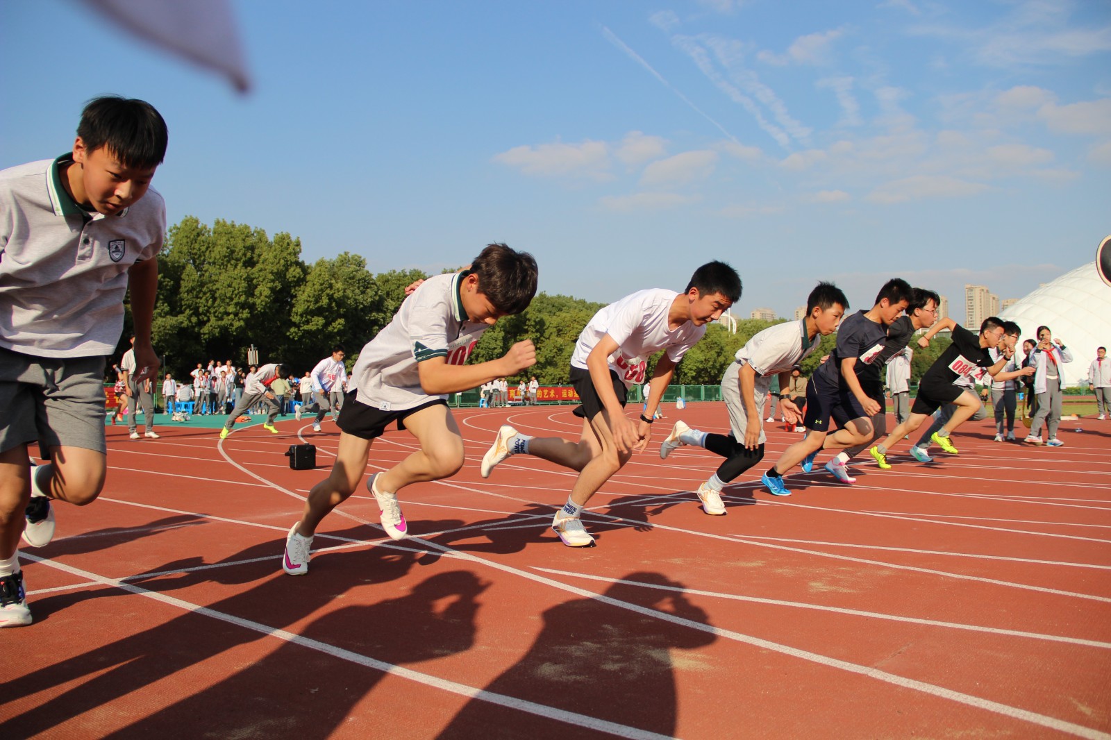 1761719668229424.jpg 1761719668229424.jpg