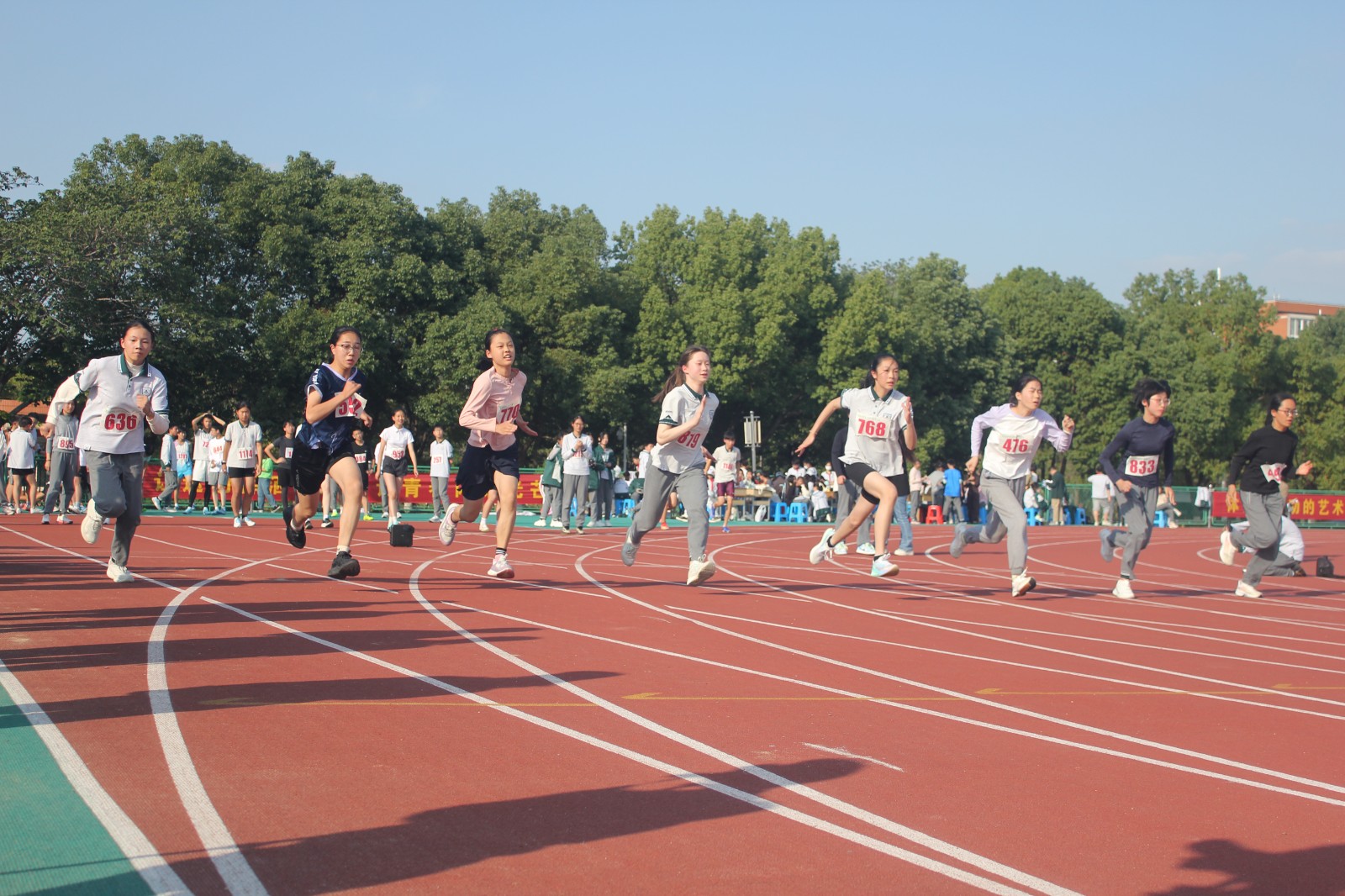 1761719668916631.jpg 1761719668916631.jpg