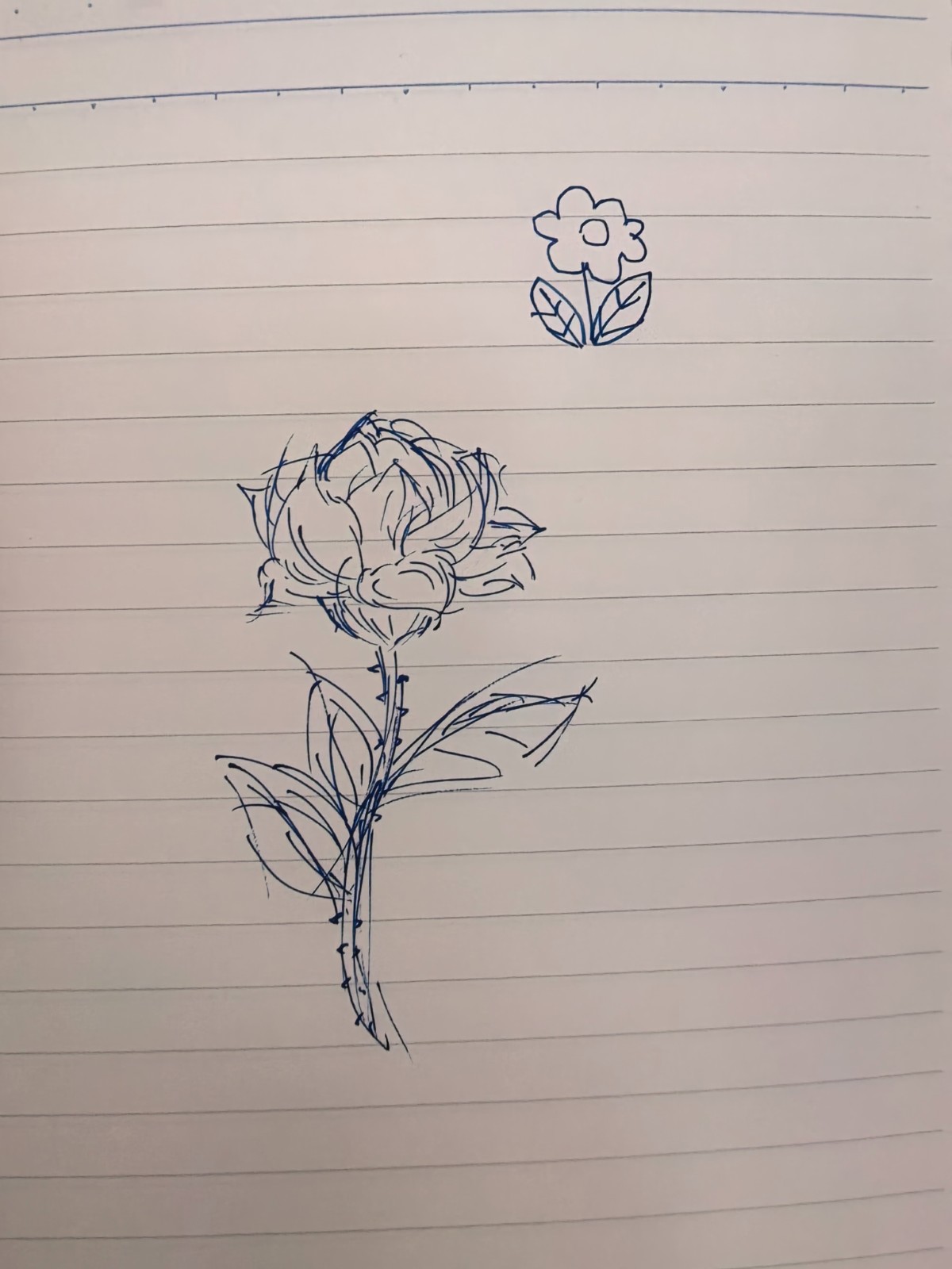 1776130000106532.jpg
