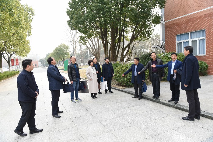 DSC_0241.jpg DSC_0241.jpg