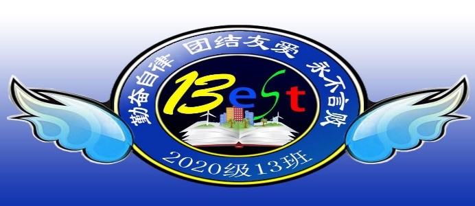 初一13班班徽.jpg