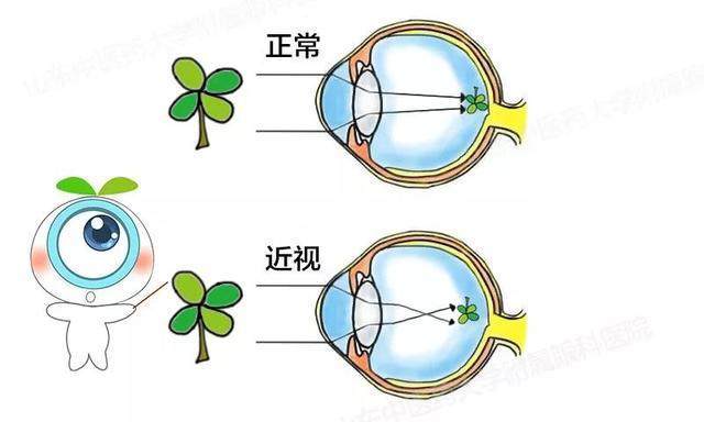 图2.JPEG