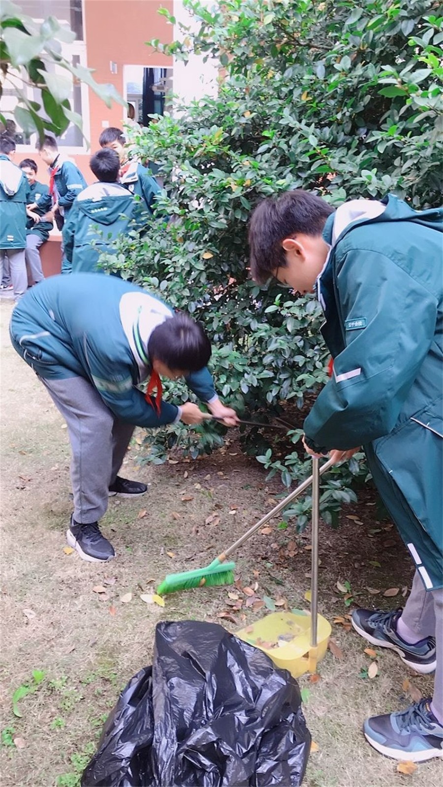 图片13 扫树丛.JPG