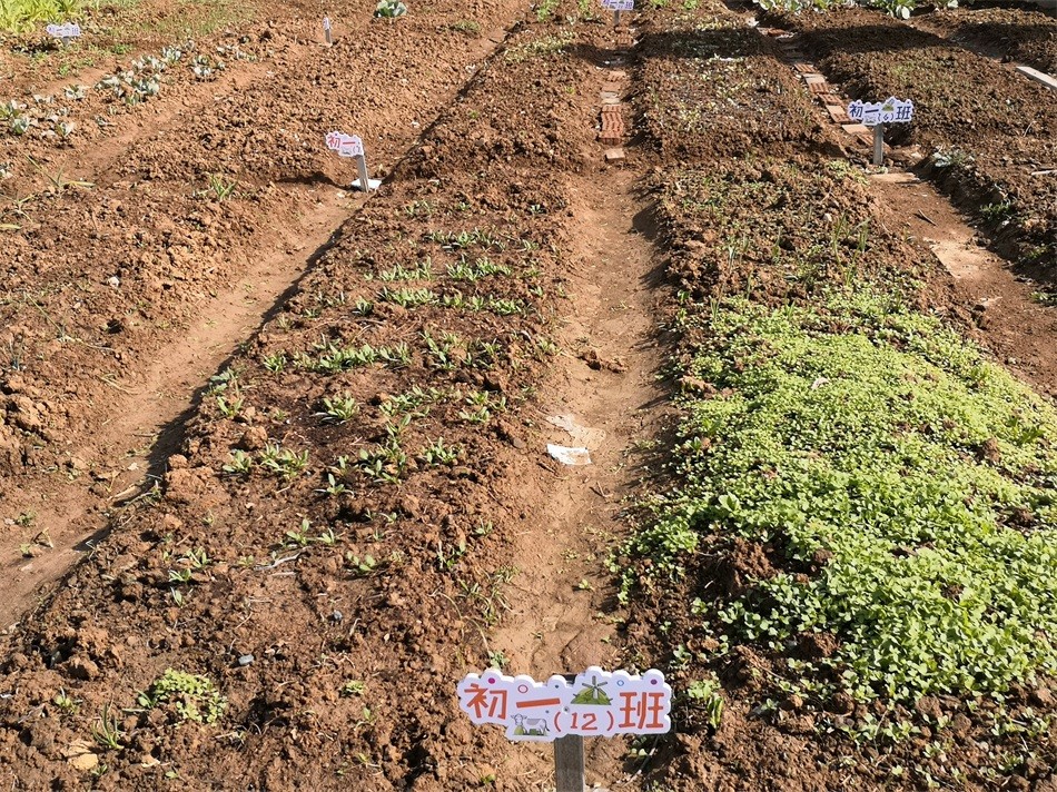 图片15 我们的责任田.jpg