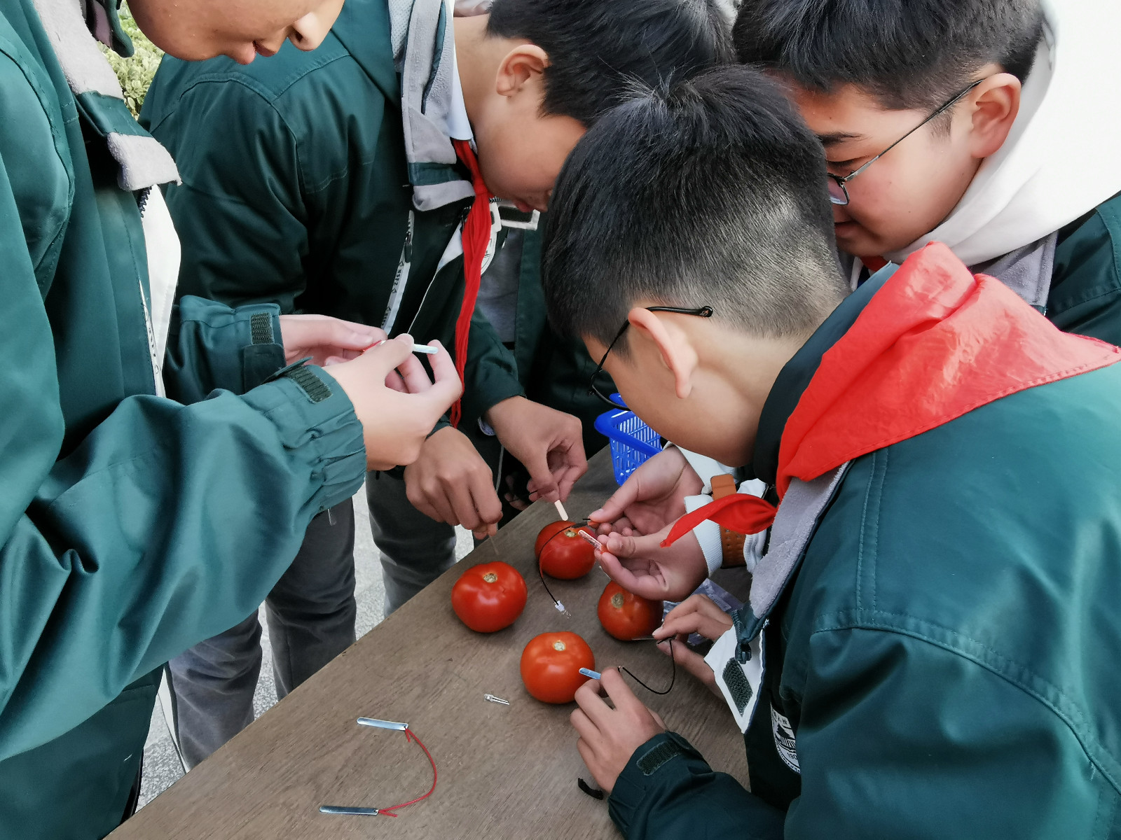 1638407665600400.jpg 1638407665600400.jpg