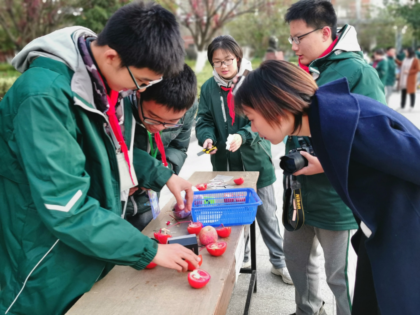 1638412499518905.jpg 1638412499518905.jpg