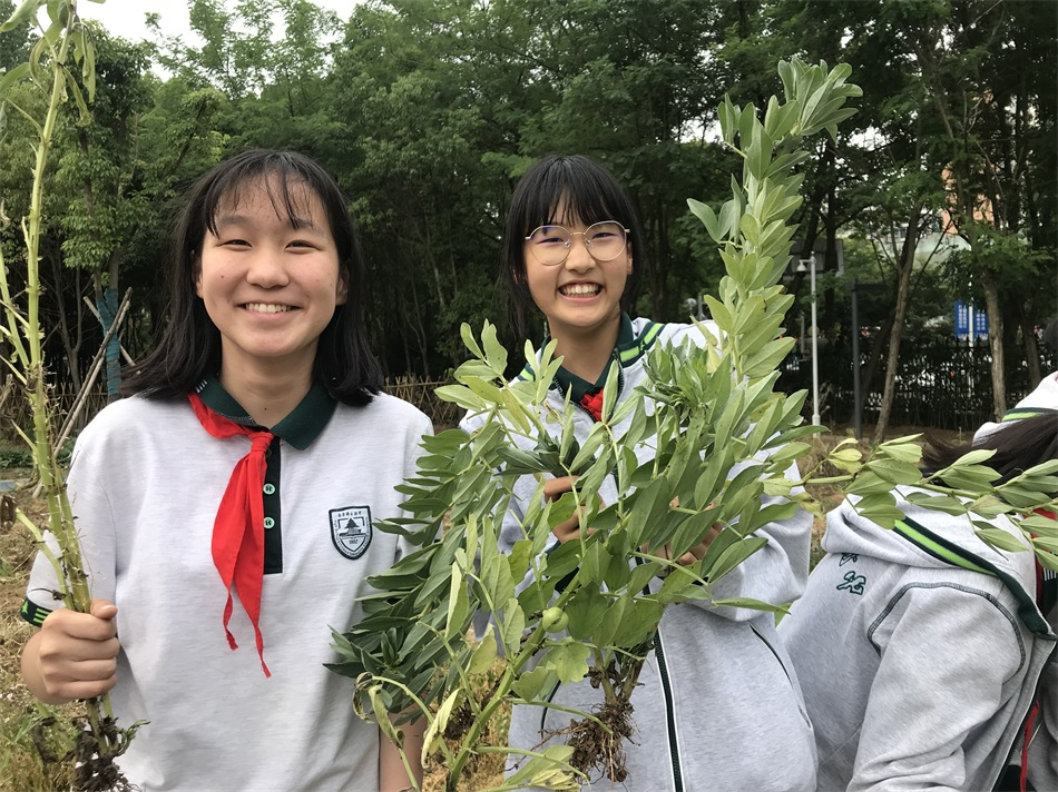 勤劳童年照片 (1).png