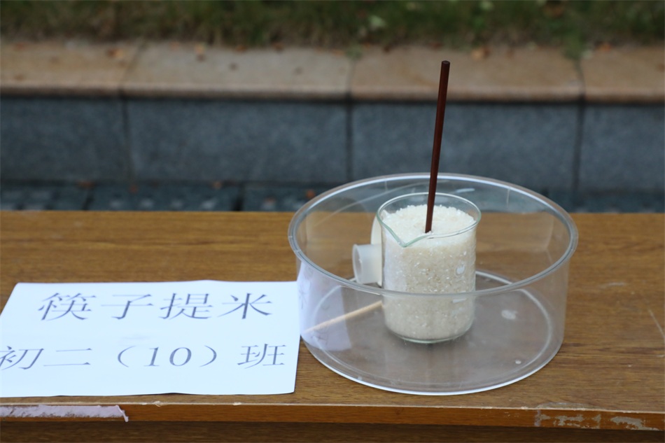 图片13（2）.JPG