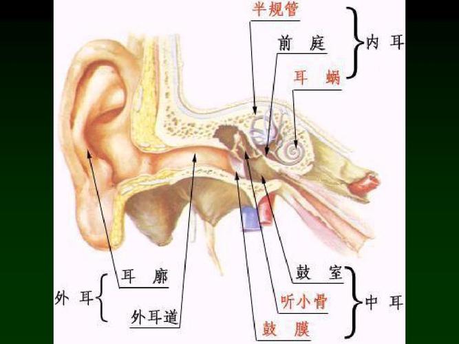 图3.jpeg
