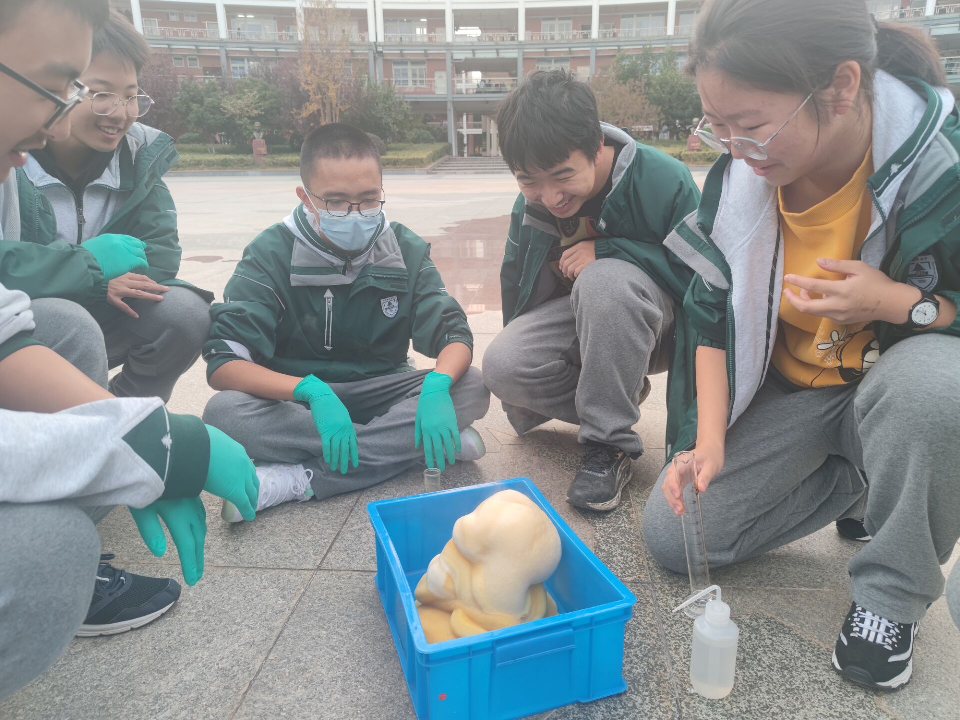 1700728139379213.png 1700728139379213.png