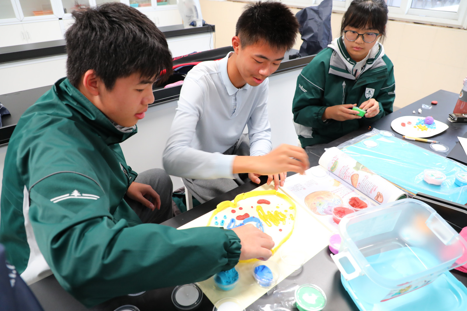 1700728227366388.jpg 1700728227366388.jpg