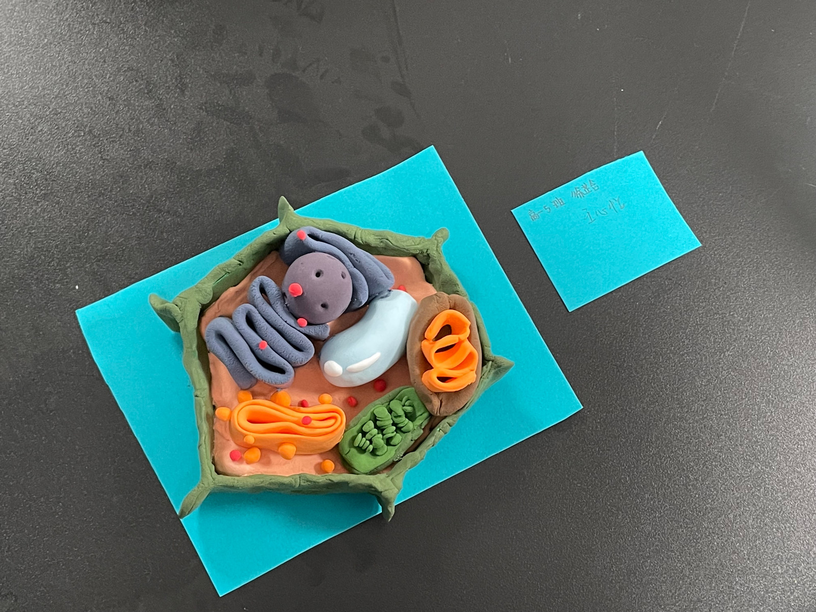 1700728227626551.jpg 1700728227626551.jpg