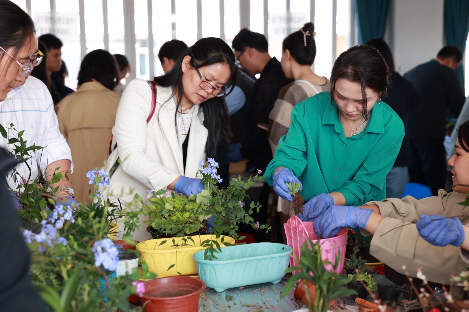 1730795408310415.jpg 1730795408310415.jpg