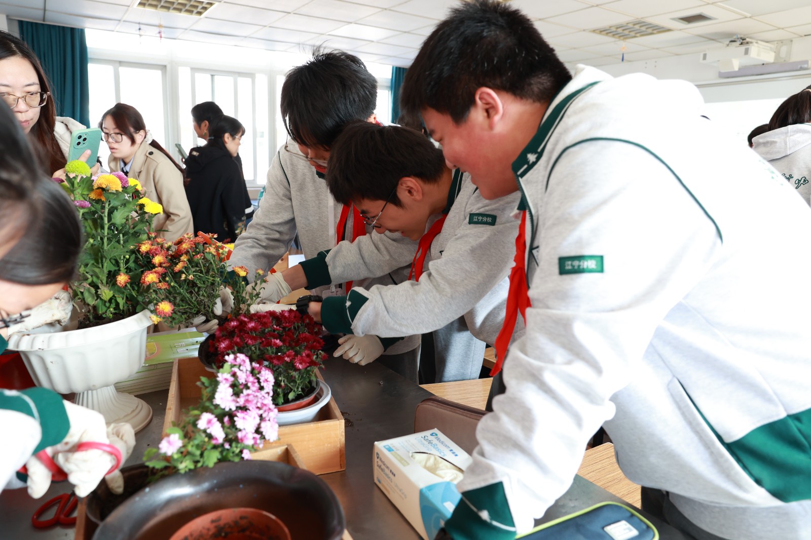 1730795560487844.jpg 1730795560487844.jpg