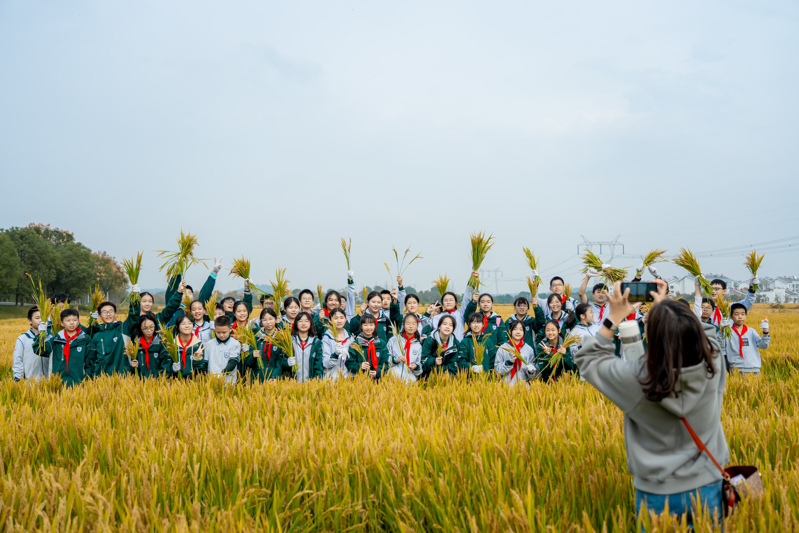 1731305045733068.png 1731305045733068.png