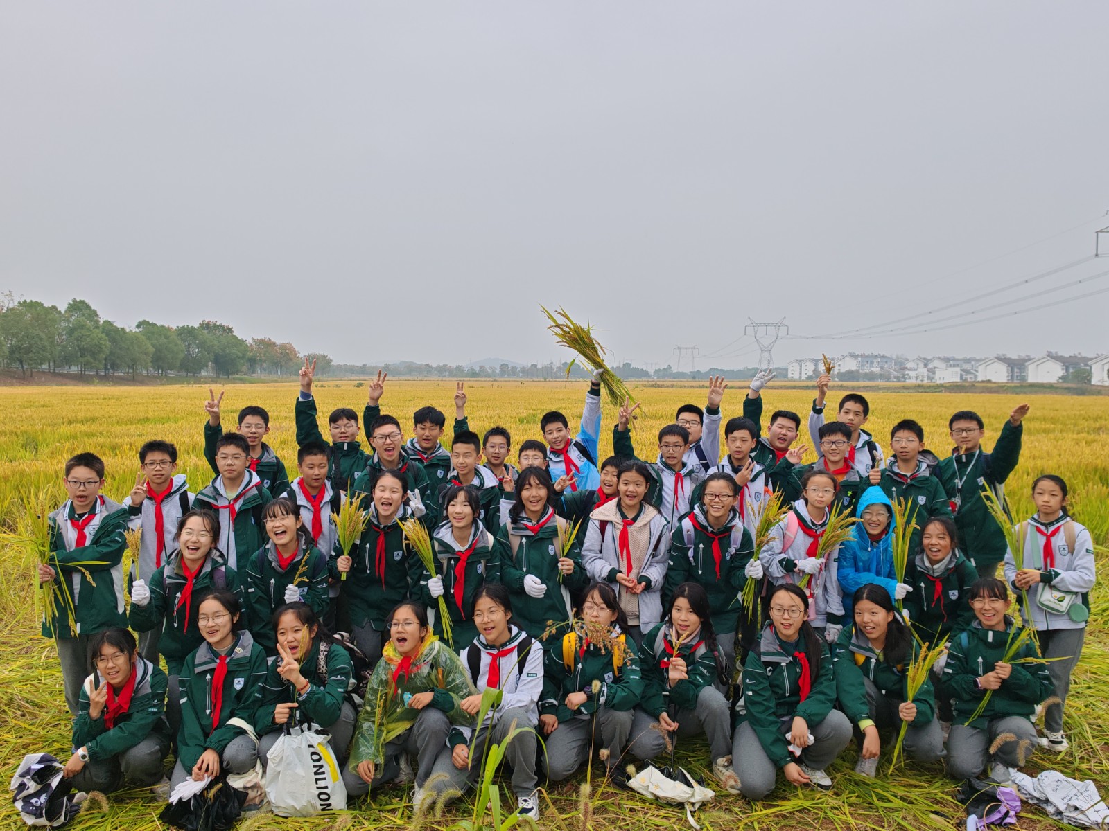 1731305046610720.jpg 1731305046610720.jpg