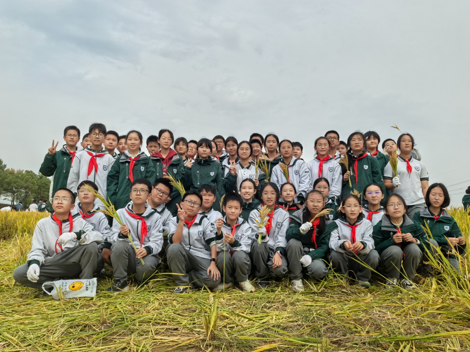 1731305047148662.jpg 1731305047148662.jpg