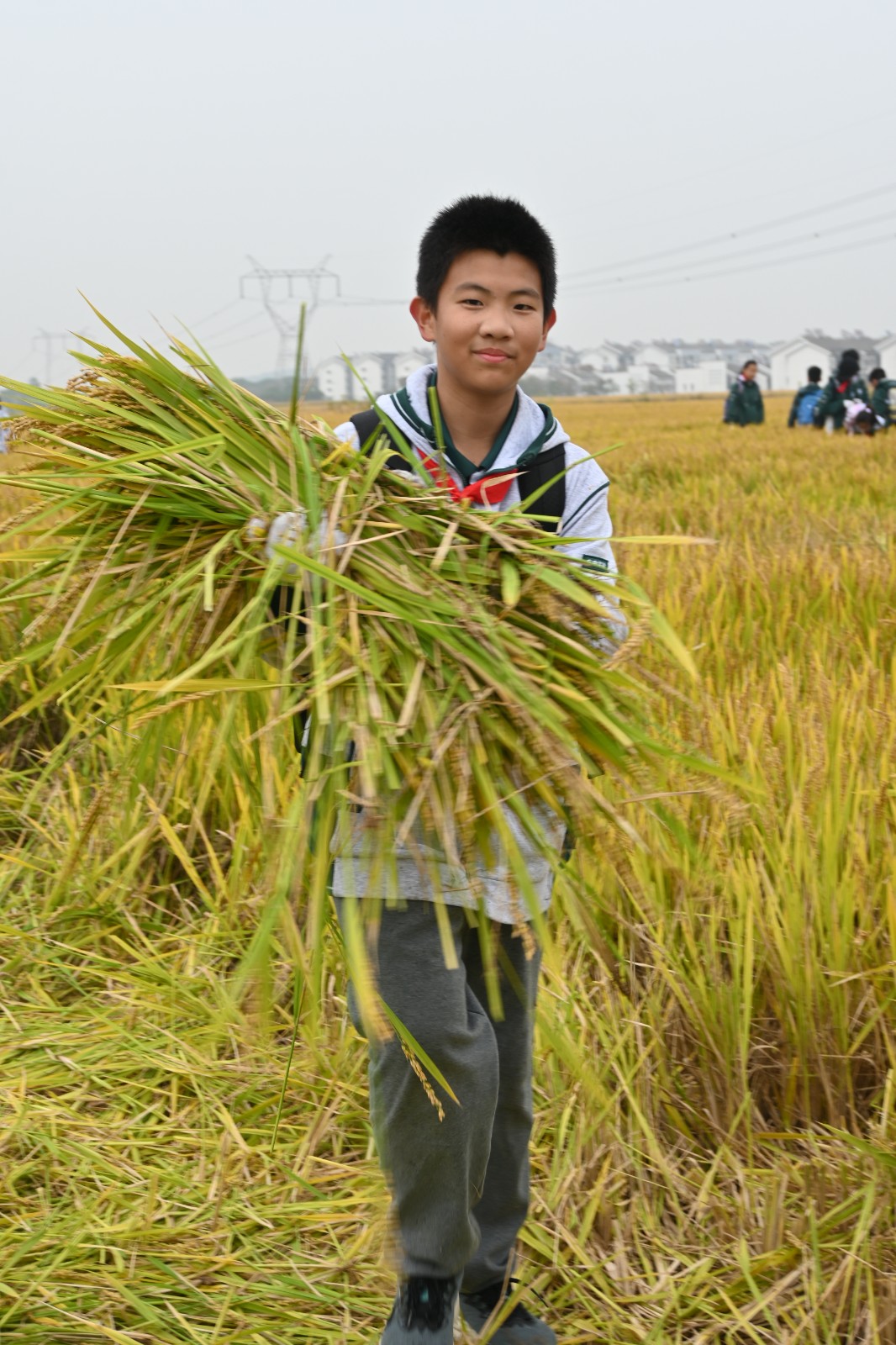 1731305227900762.jpg 1731305227900762.jpg