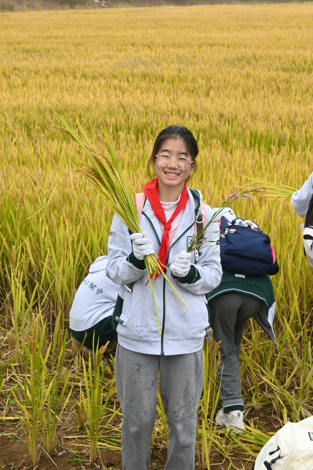 1731305228131666.jpg 1731305228131666.jpg