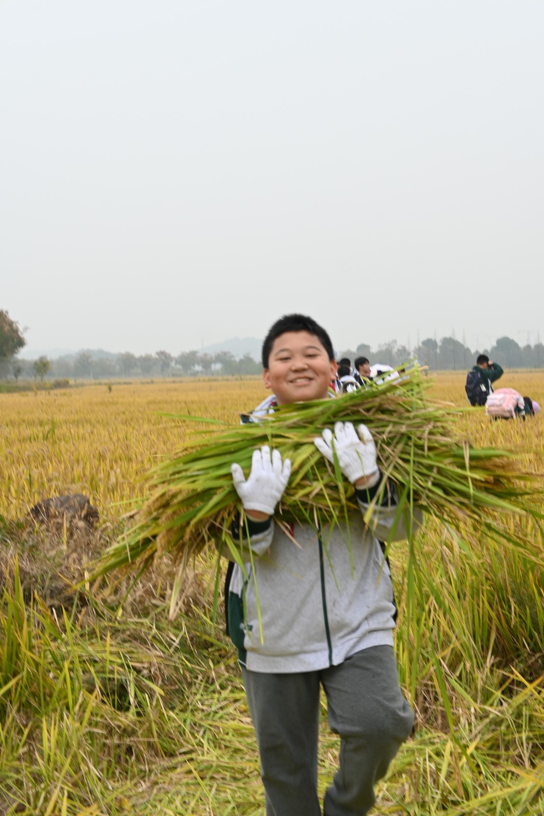 1731305228993791.jpg 1731305228993791.jpg