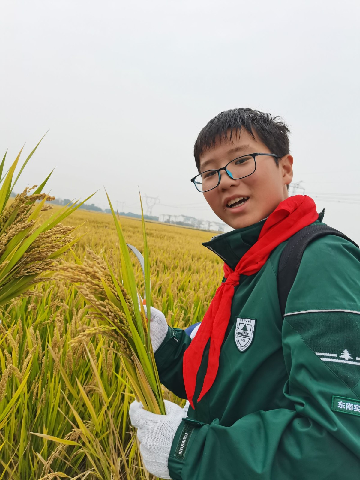 1731305229747045.jpg 1731305229747045.jpg