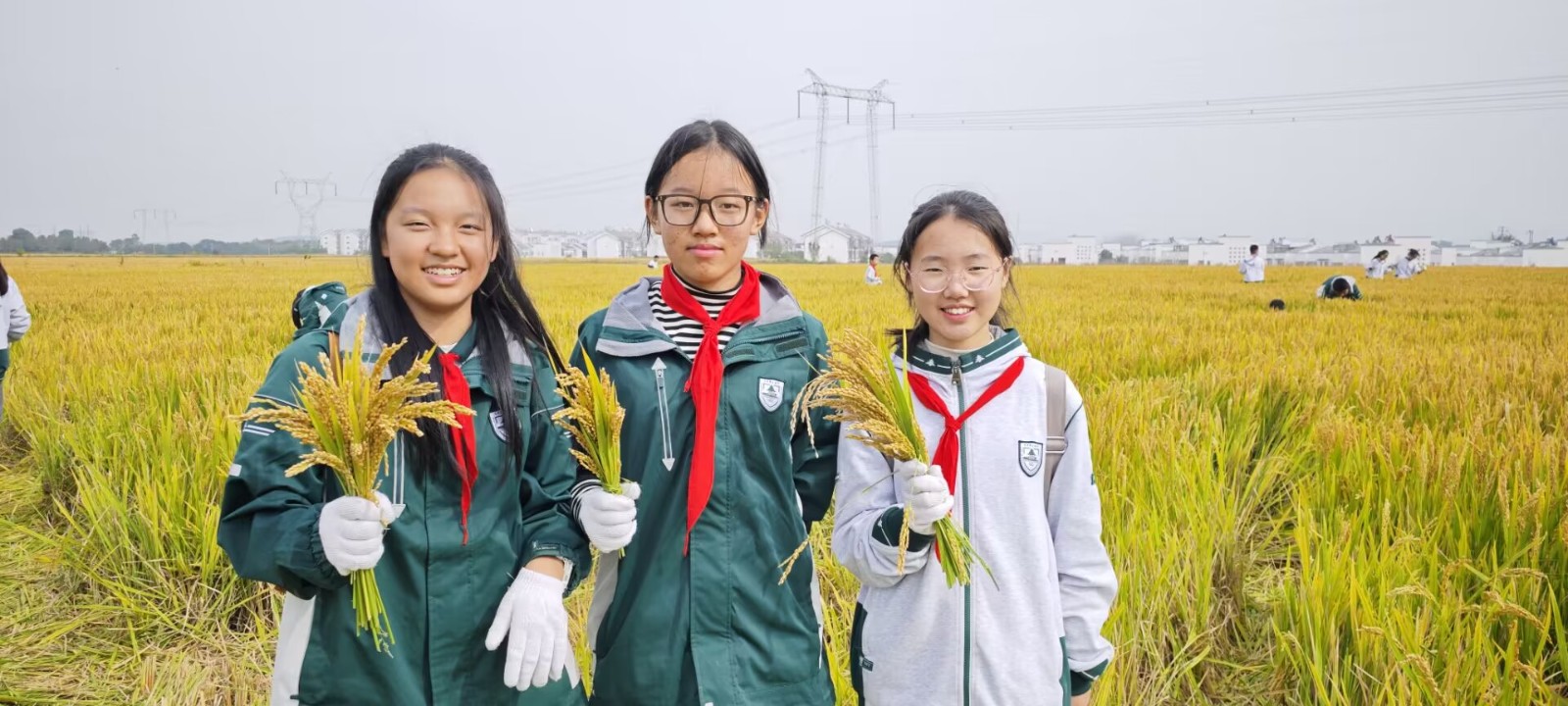 1731305230822126.jpg 1731305230822126.jpg