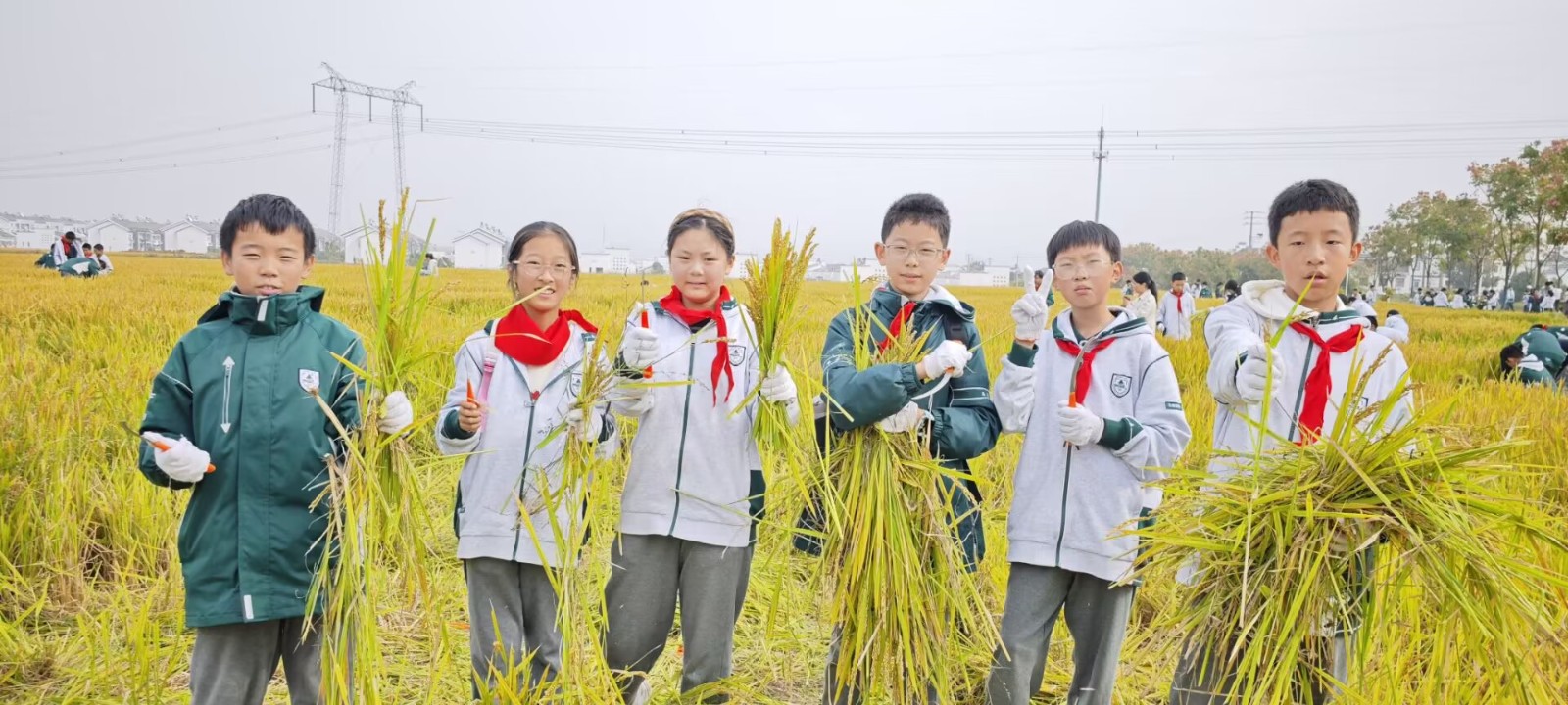 1731305231337056.jpg 1731305231337056.jpg