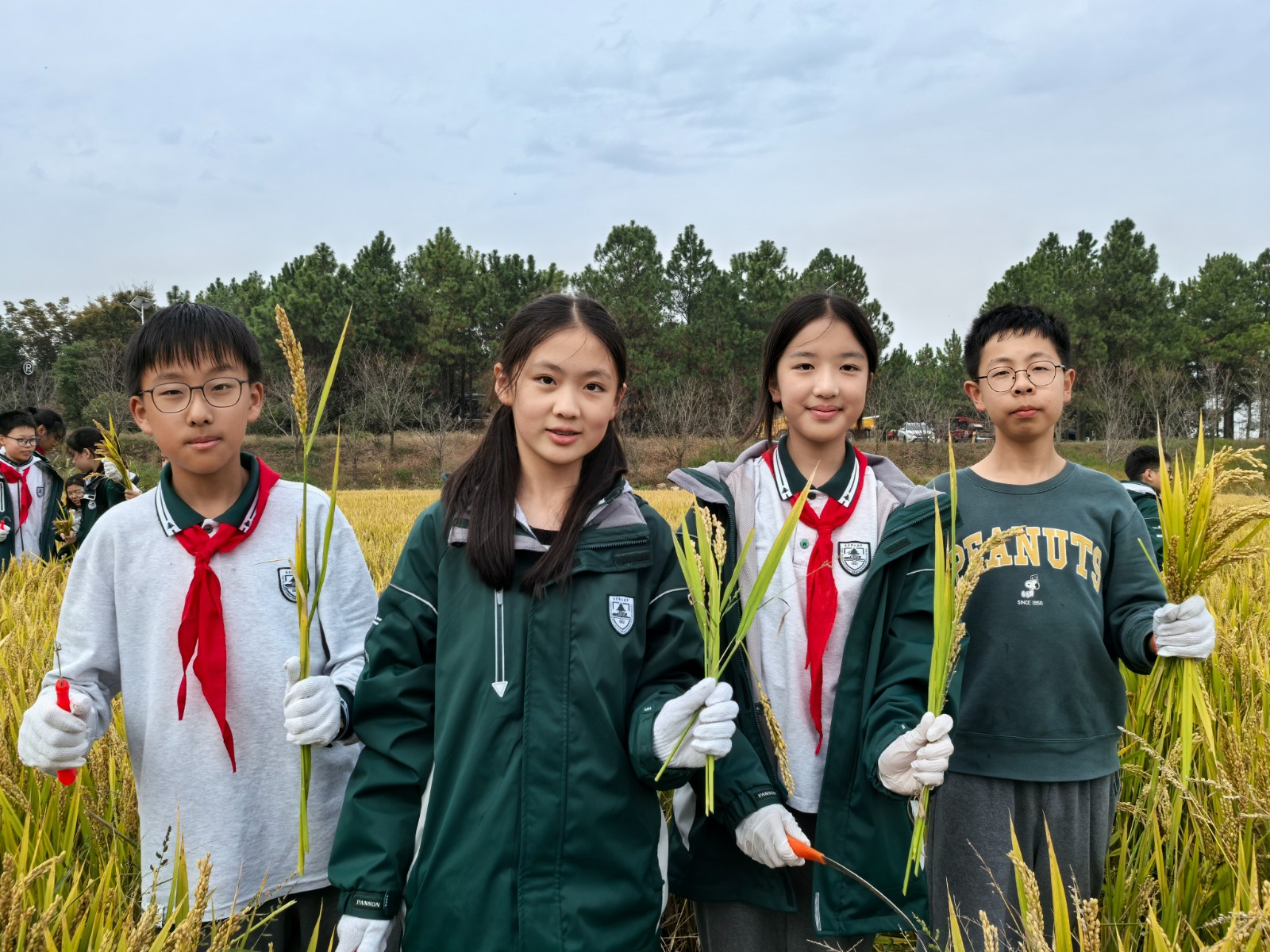 1731305231955555.jpg 1731305231955555.jpg