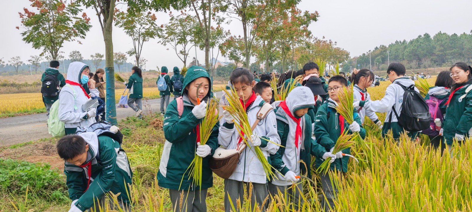 1731305232637095.jpg 1731305232637095.jpg