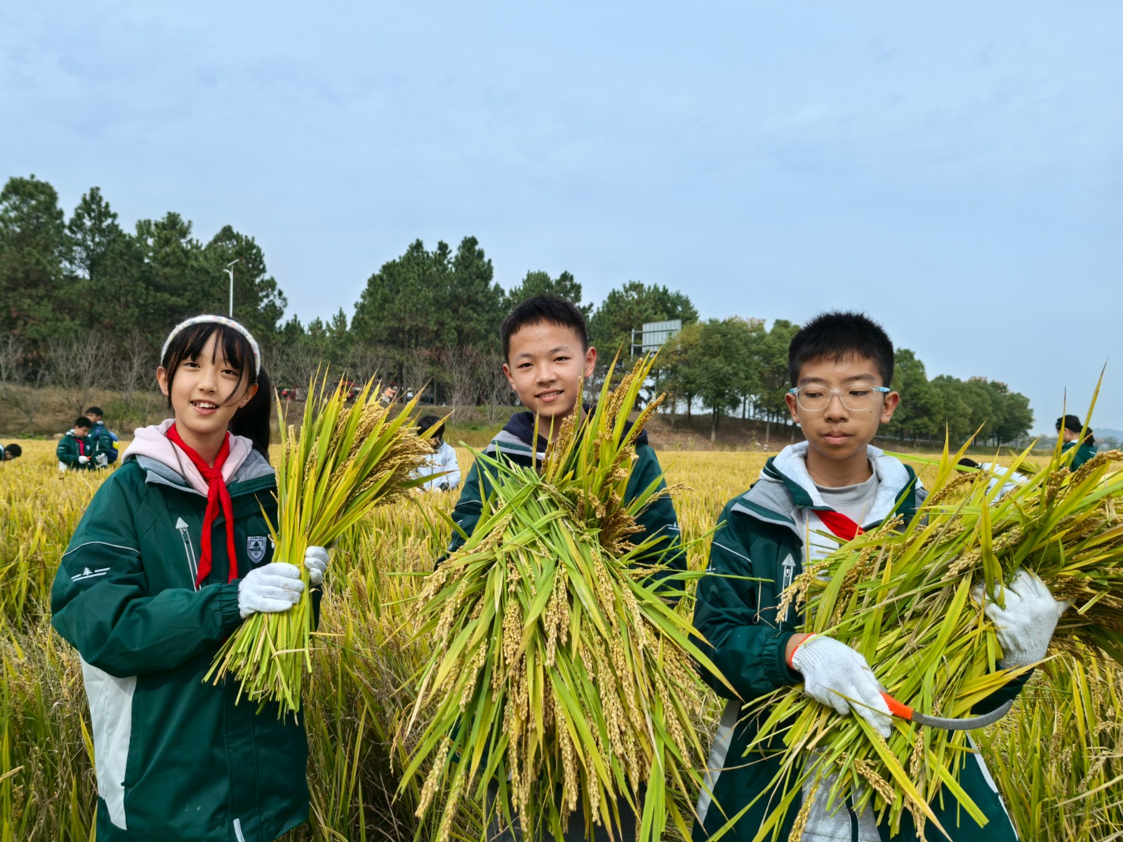 1731305232658053.jpg 1731305232658053.jpg