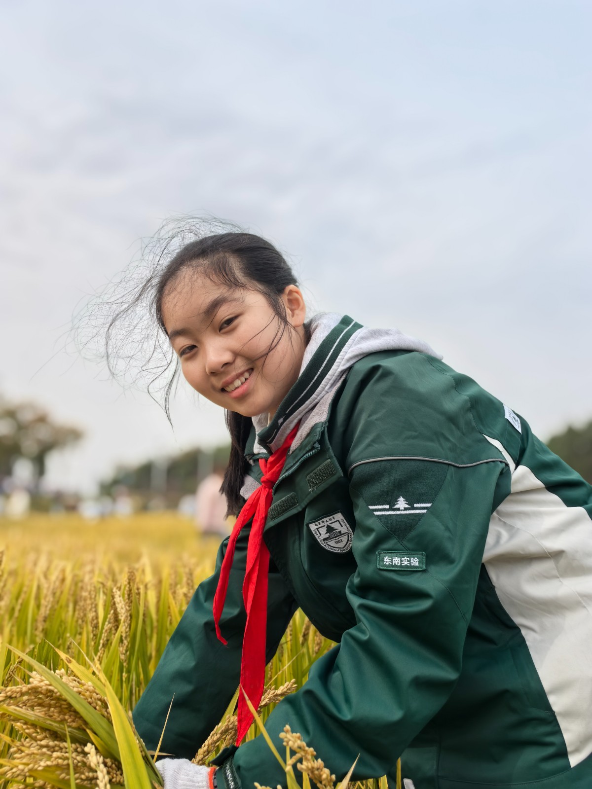 1731305232989899.jpg 1731305232989899.jpg