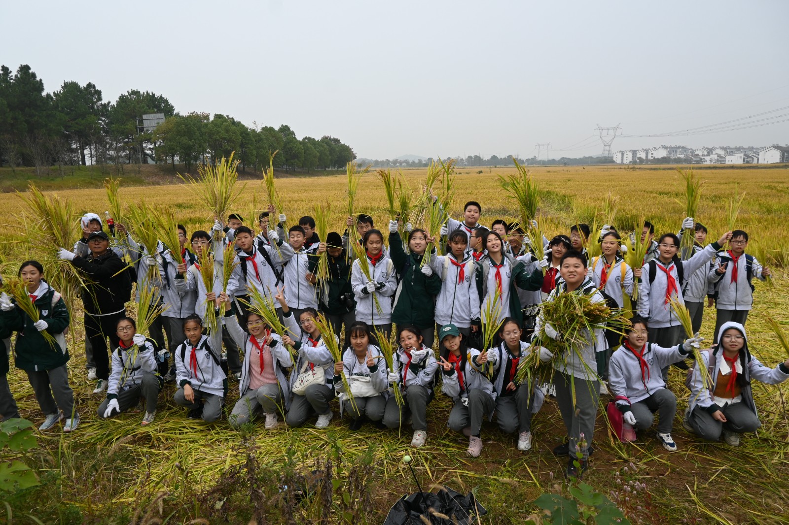 1731305233943953.jpg 1731305233943953.jpg