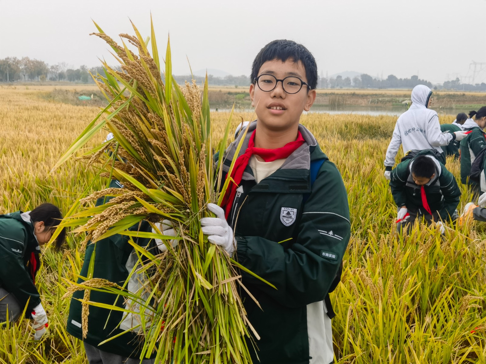 1731305235131007.jpg 1731305235131007.jpg