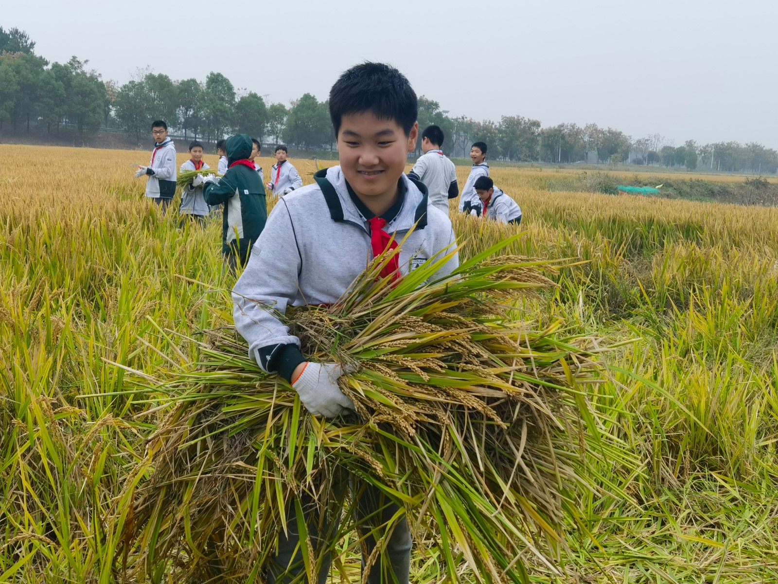 1731305235163436.jpg 1731305235163436.jpg