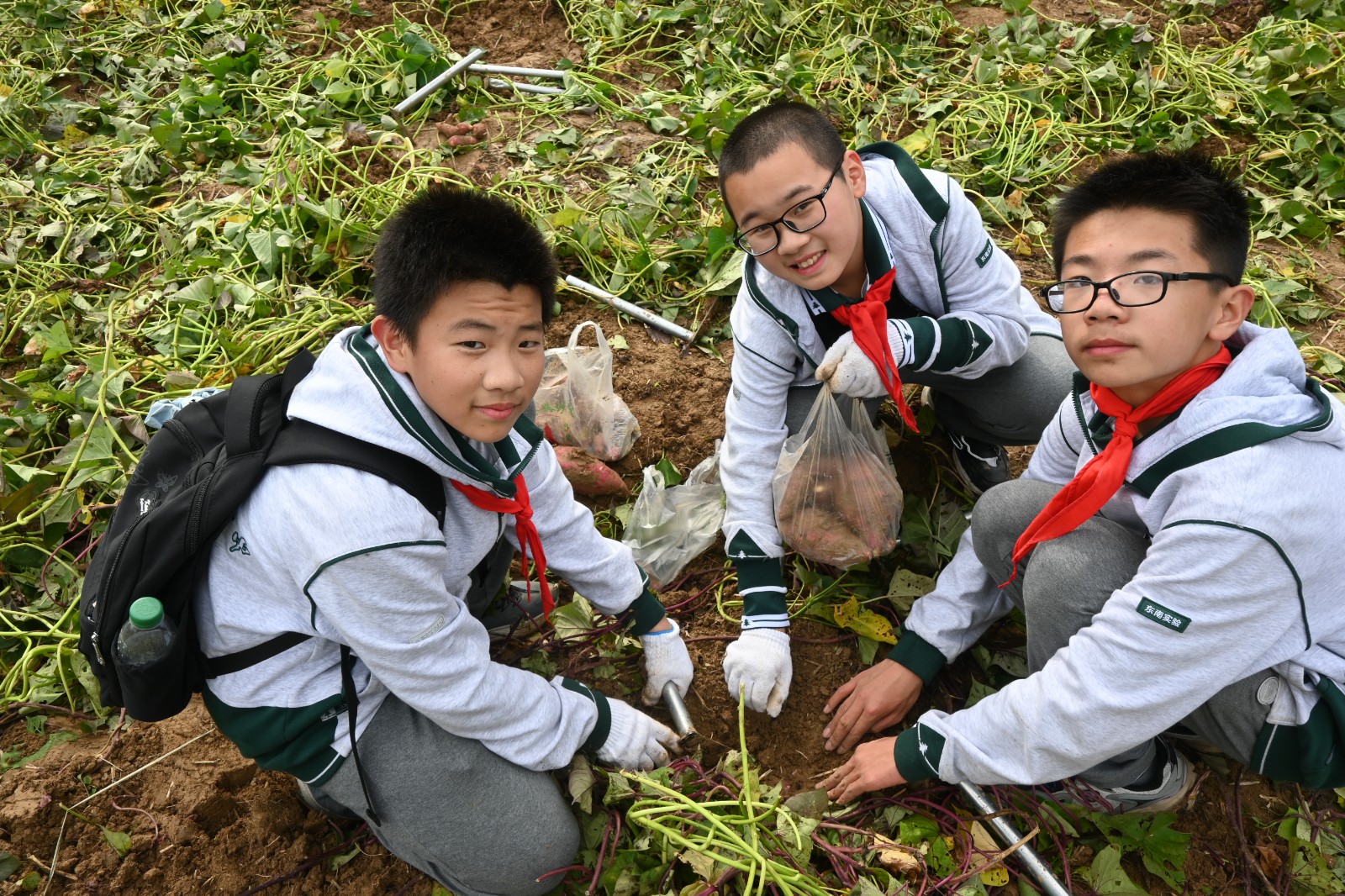 1731305492703635.jpg 1731305492703635.jpg