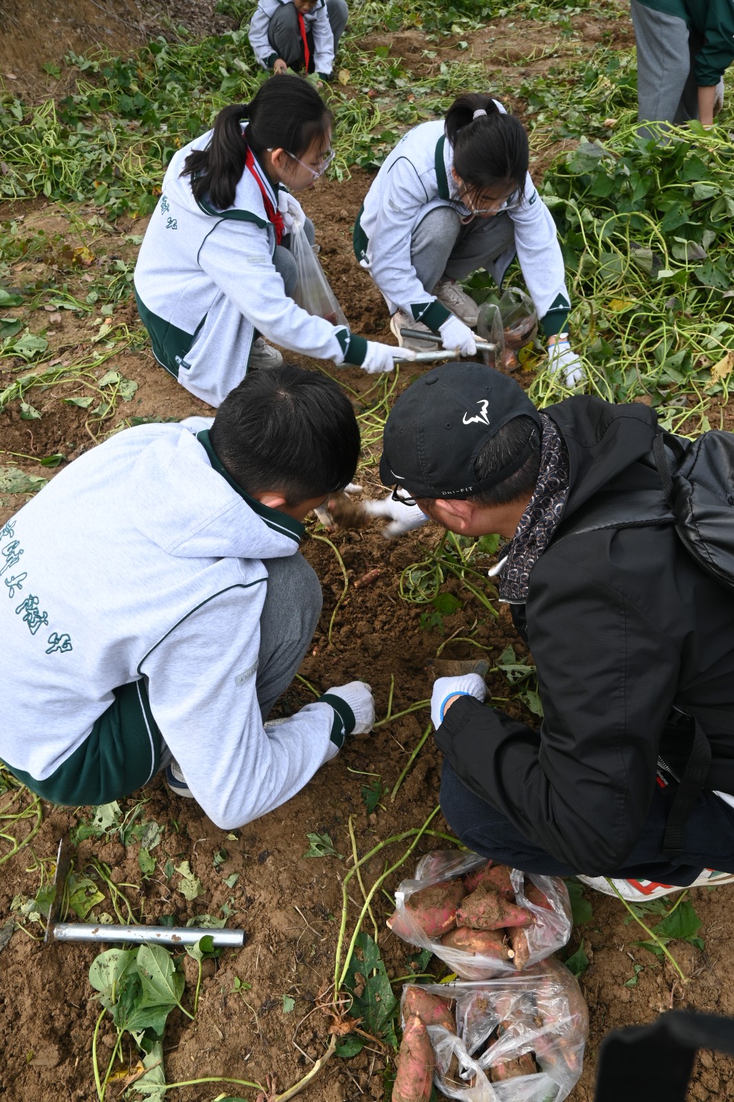 1731305493499368.jpg 1731305493499368.jpg