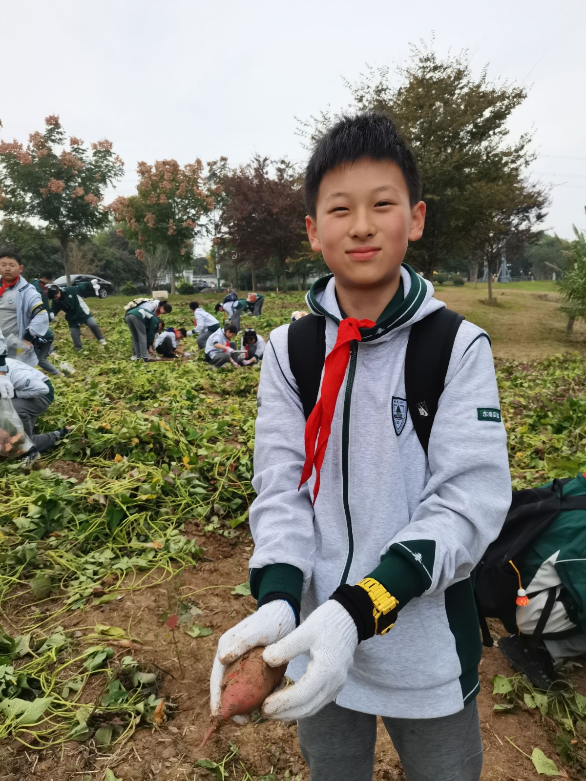 1731305493751692.jpg 1731305493751692.jpg