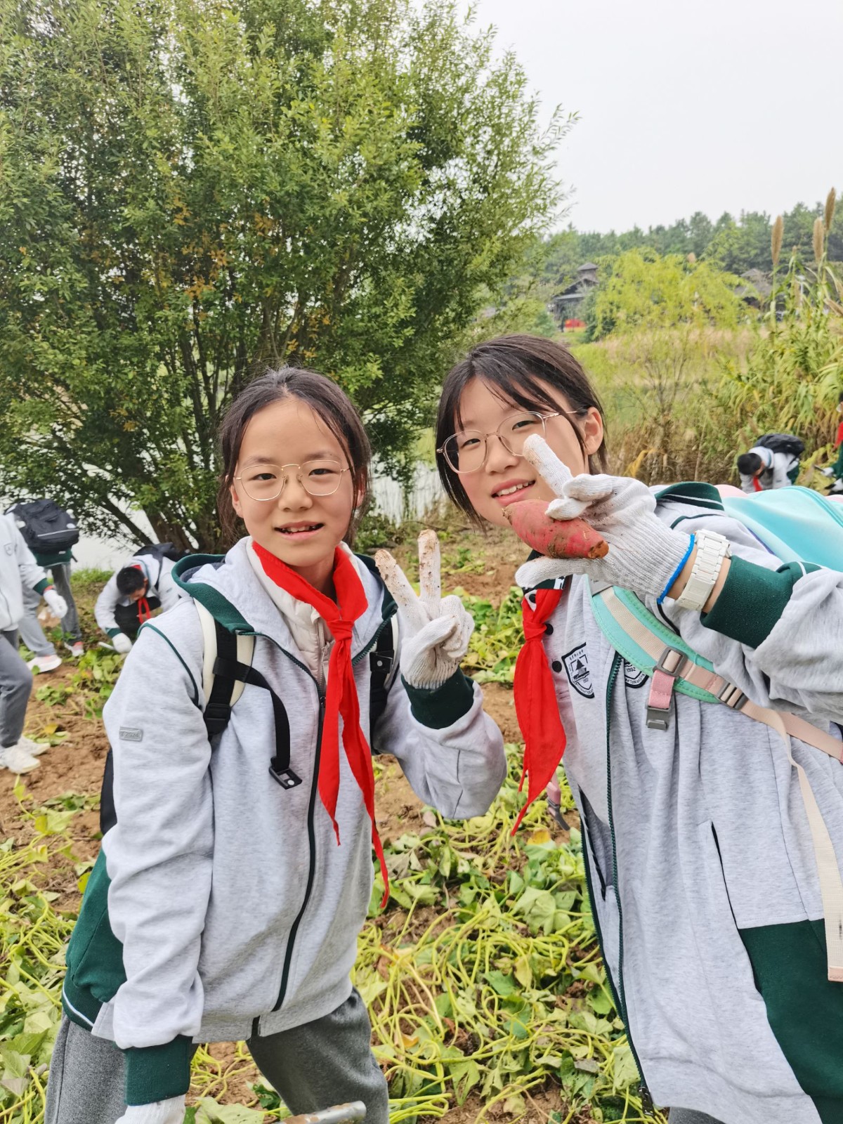 1731305494116747.jpg 1731305494116747.jpg