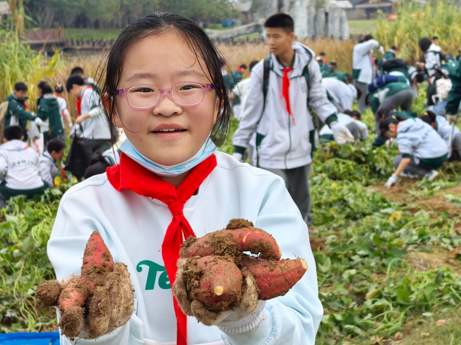 1731305494161748.jpg 1731305494161748.jpg