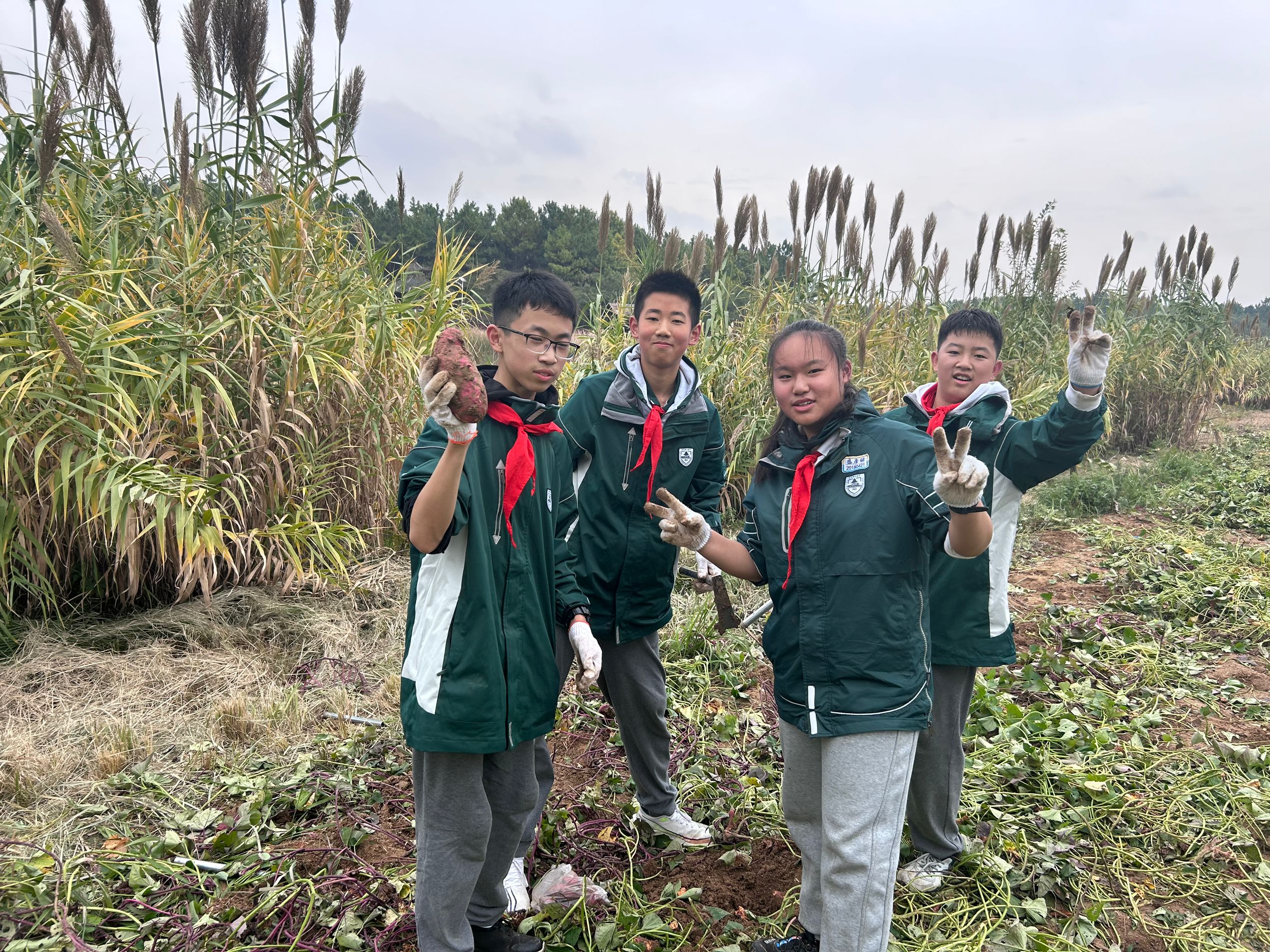 1731305495272358.png 1731305495272358.png