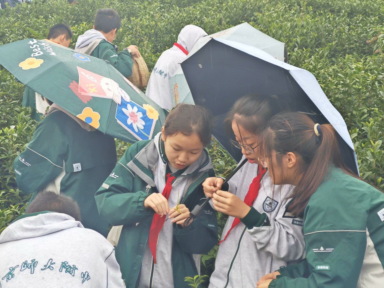 1731305784856743.jpg 1731305784856743.jpg