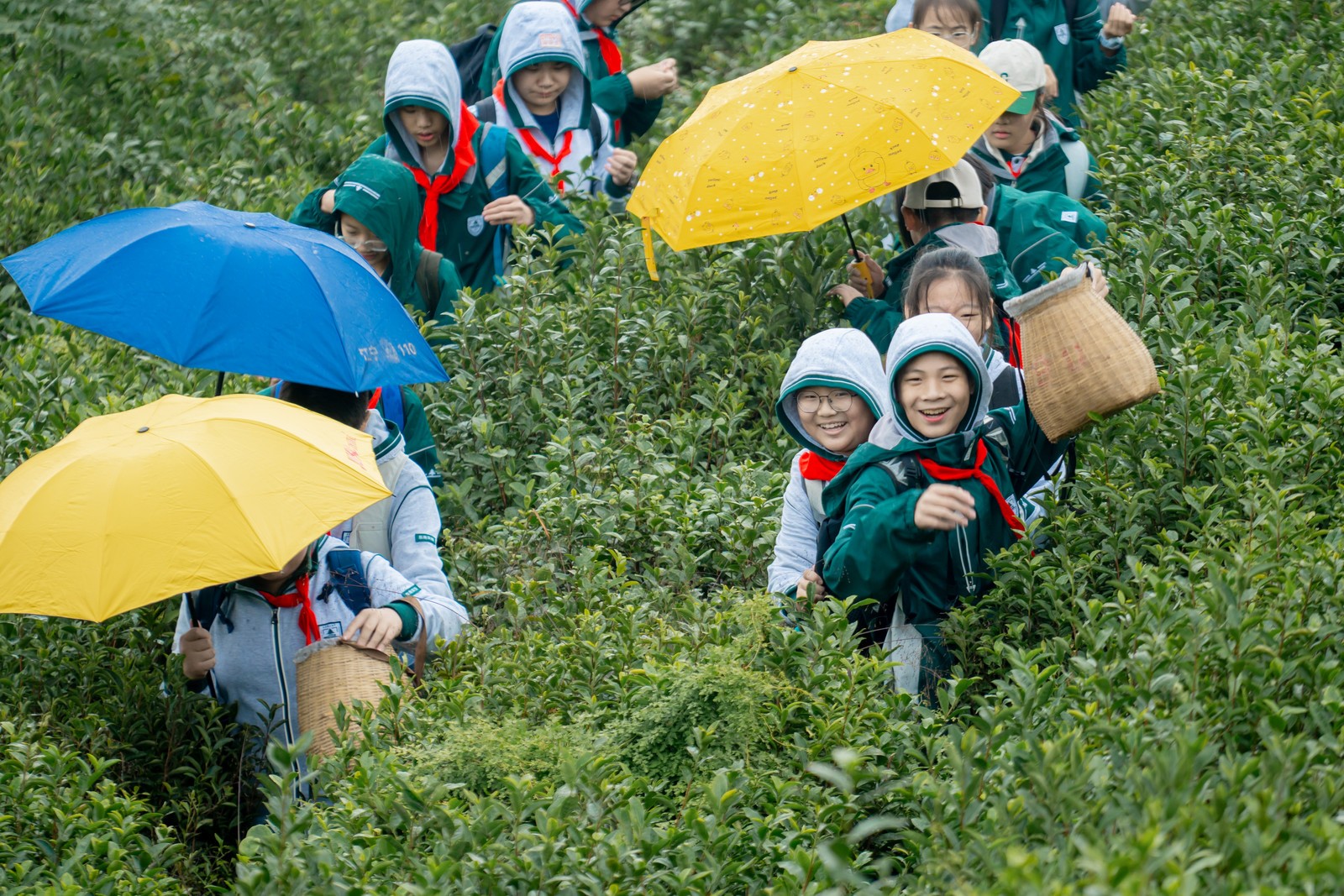 1731305784992541.jpg 1731305784992541.jpg