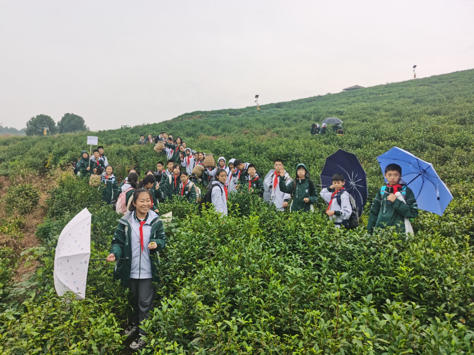 1731305785514066.jpg 1731305785514066.jpg