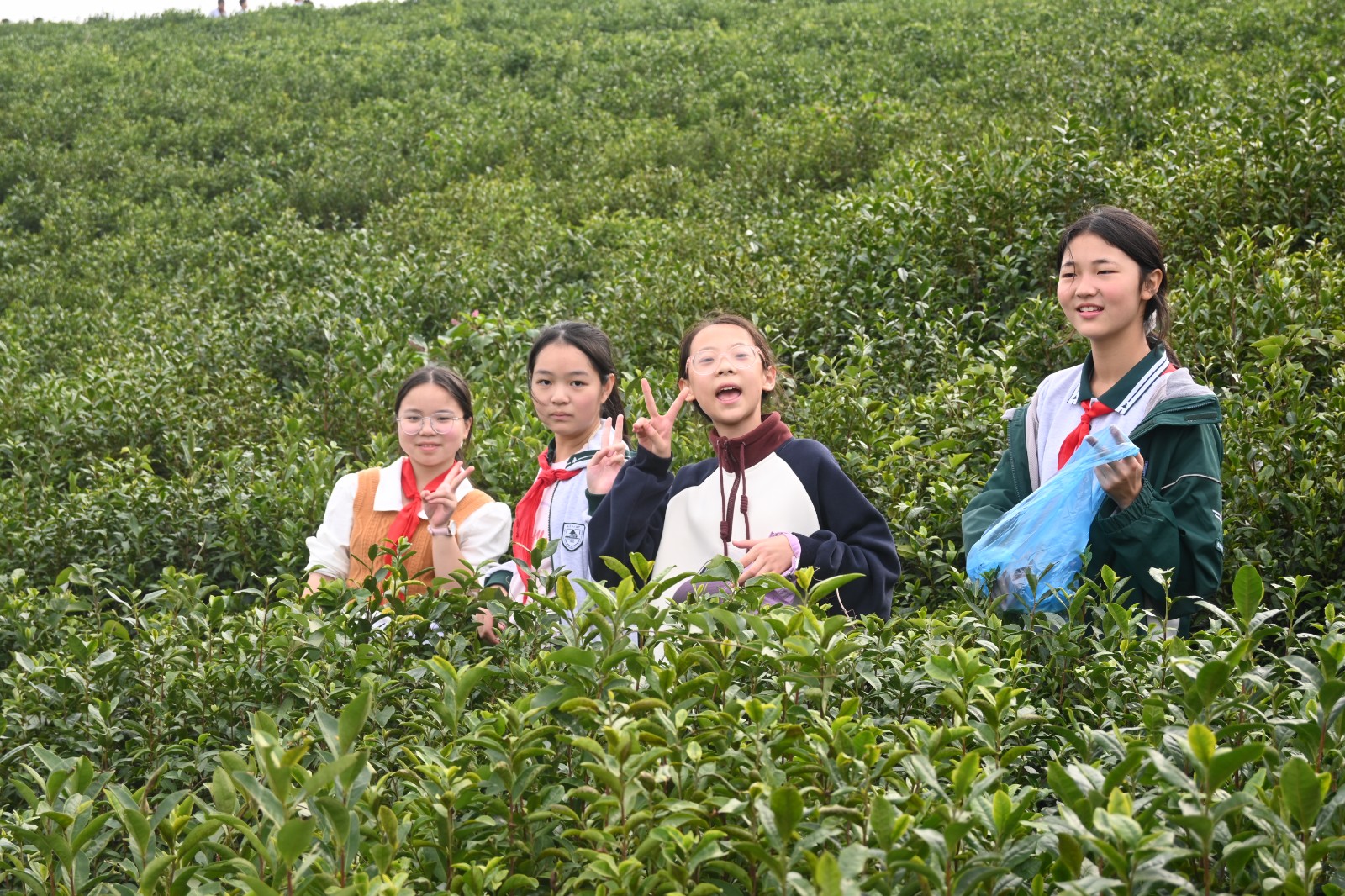 1731305786849049.jpg 1731305786849049.jpg