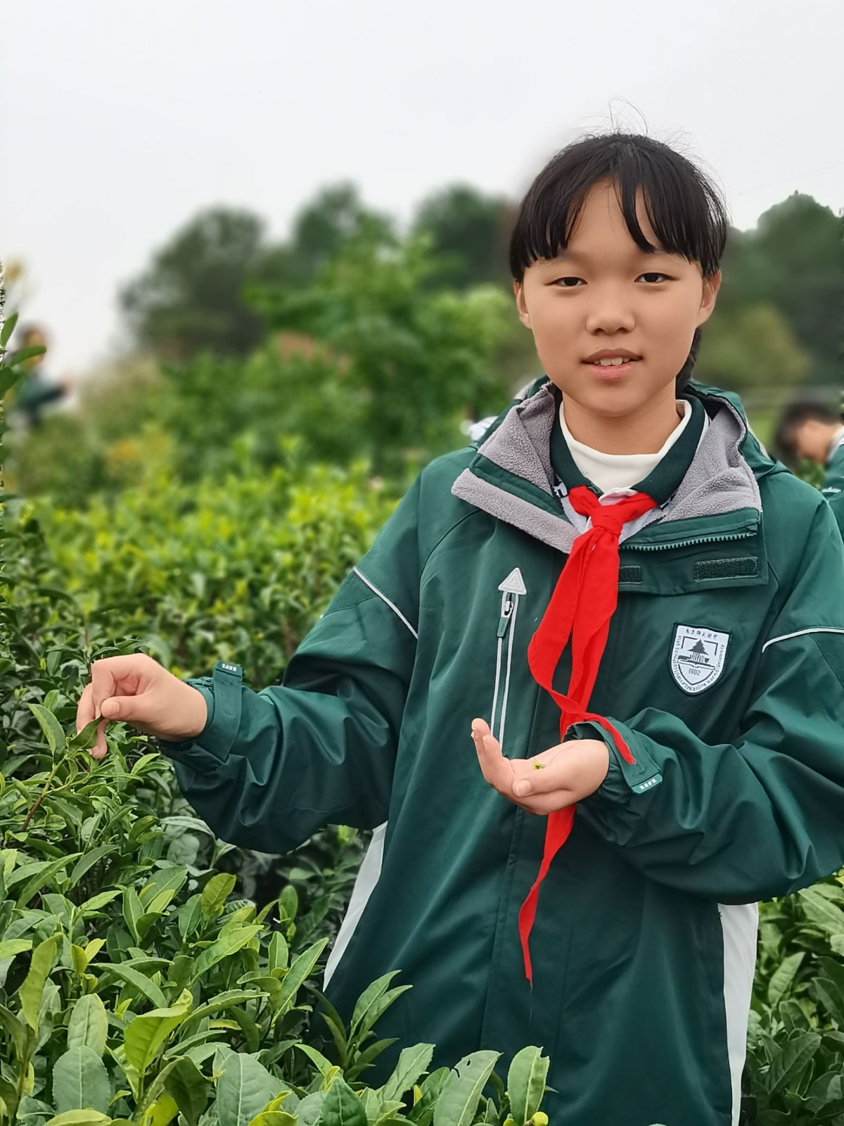 1731305786897330.jpg 1731305786897330.jpg