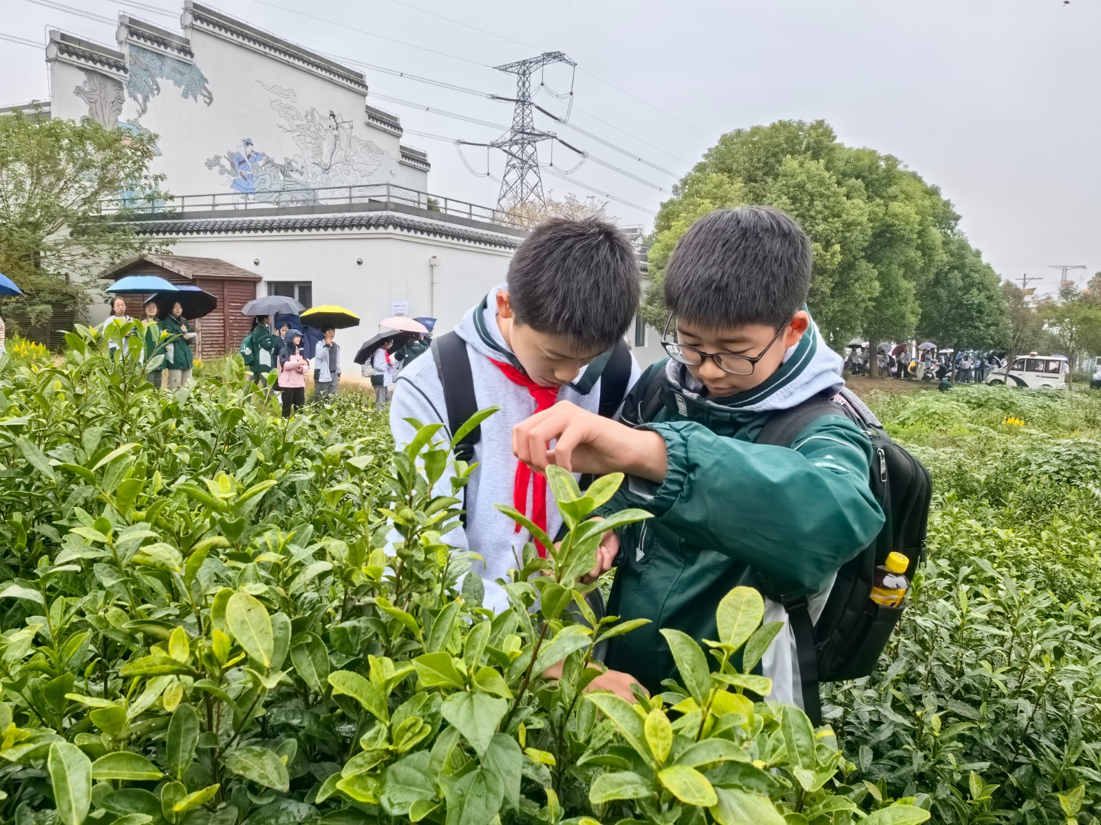 1731305787685472.jpg 1731305787685472.jpg