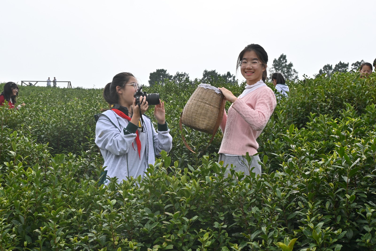 1731305788107612.jpg 1731305788107612.jpg